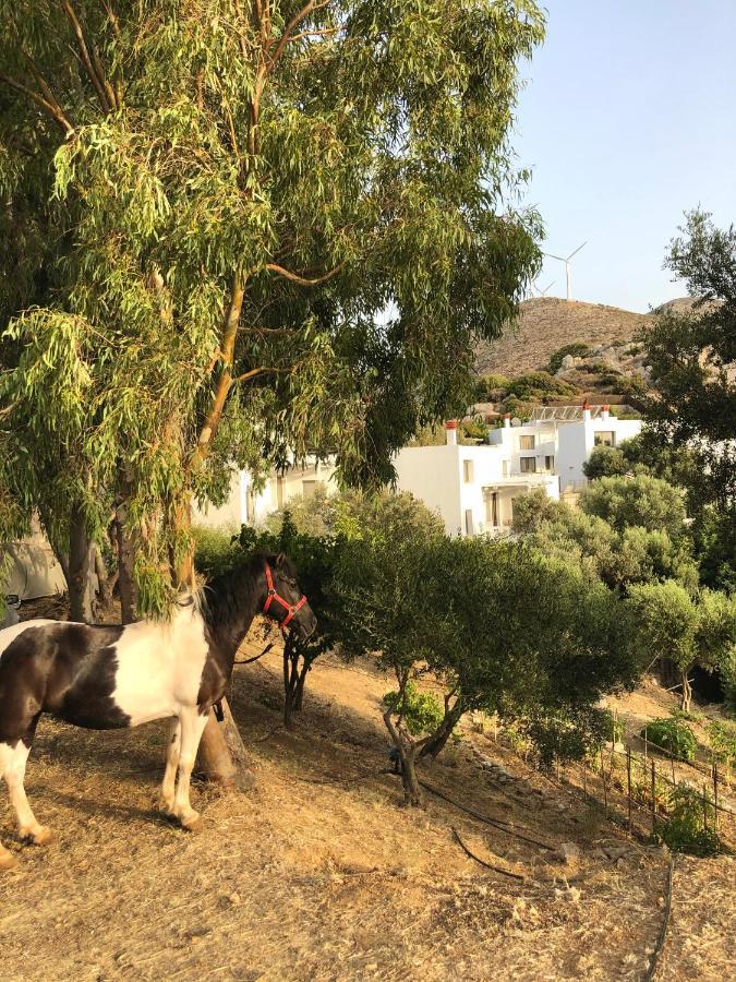Mourtzanakis Residence - Traditional Eco Hotel In Achlada Экстерьер фото